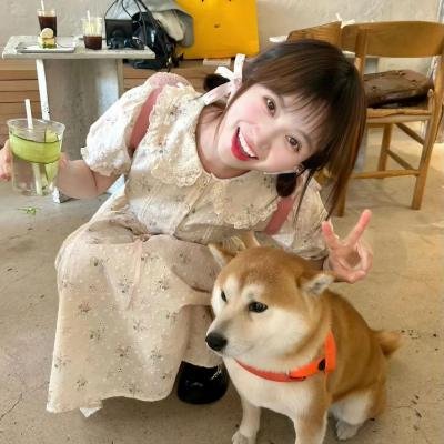 菊花村的那些事海报